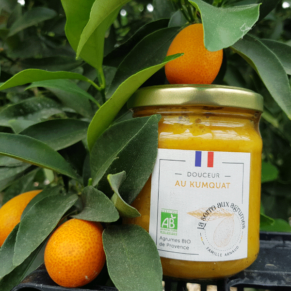 kumquatin